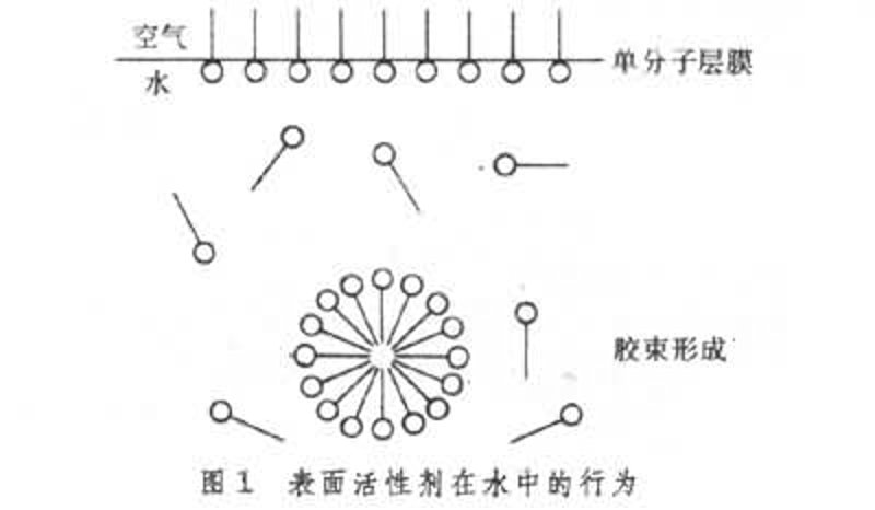 安米集团总部参观记